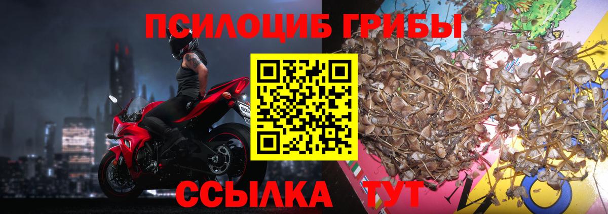 Великие Луки  Галлюциногенные грибы Psilocybine cubensis  Вход с VPN 